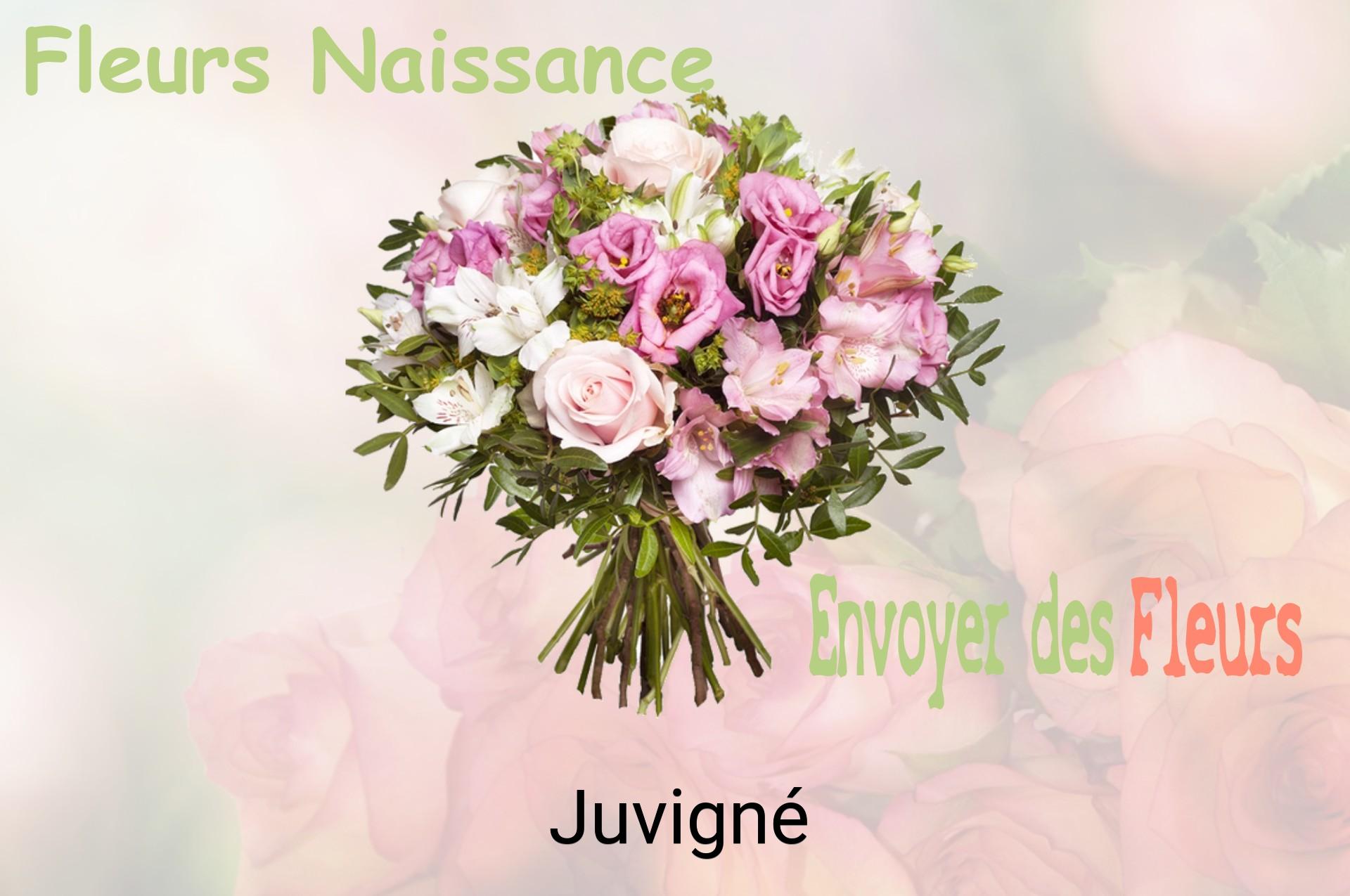 Bouquet de fleurs de naissance livré à Juvigné